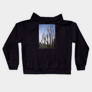 tree trunks Kids Hoodie